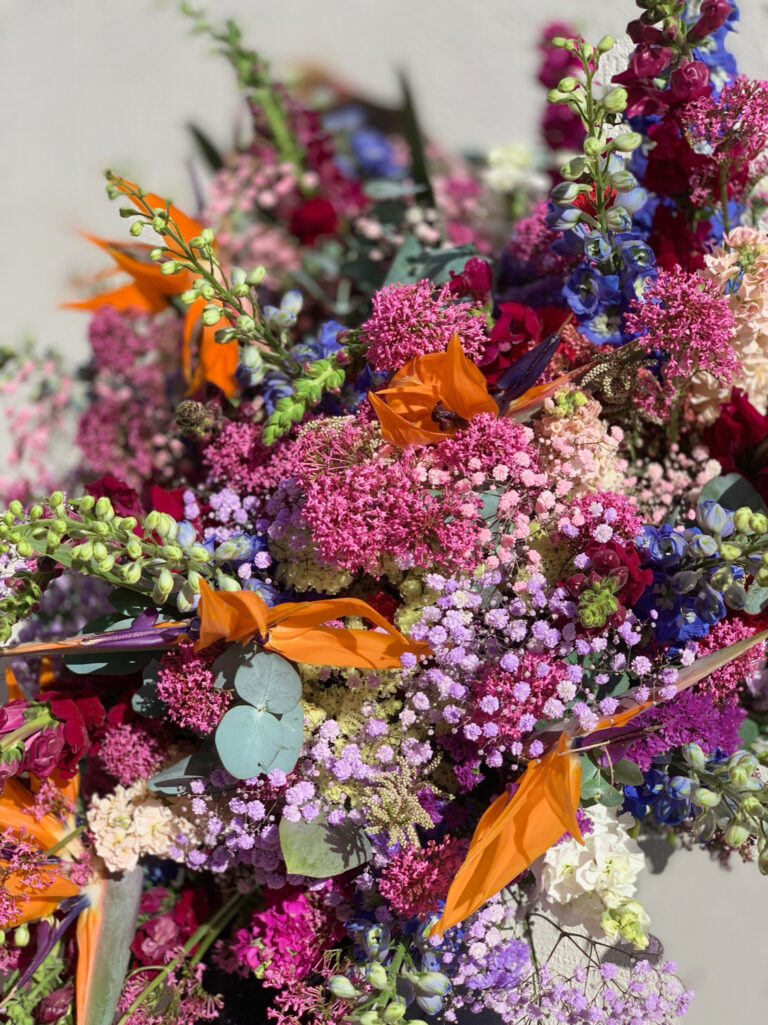 French Riviera Flowers